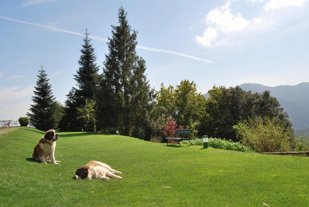 Husa Sant Bernat Montseny Phòng bức ảnh
